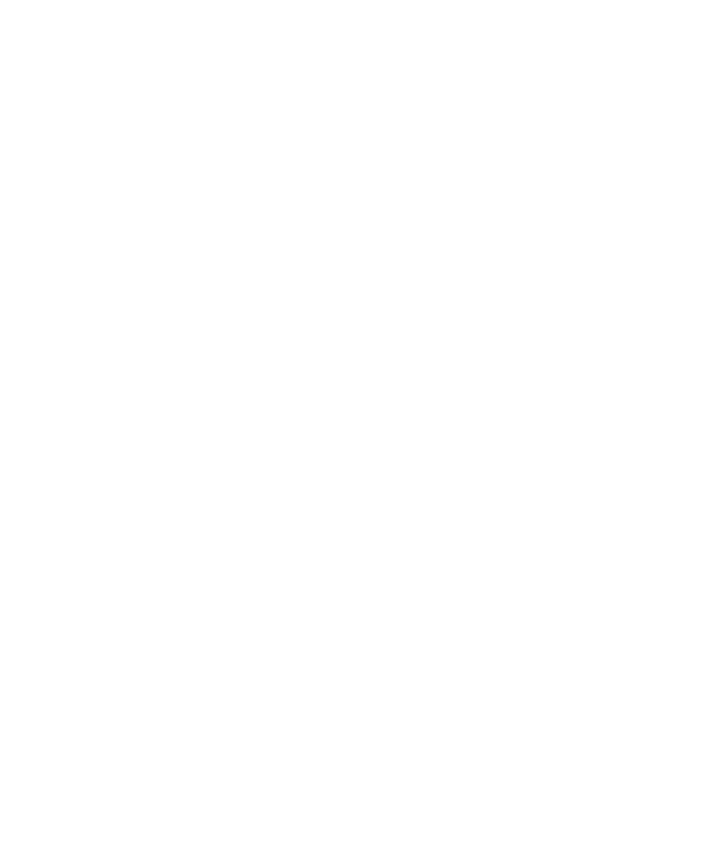 Eagle Store logo